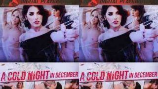 DigitalPlayground – A Cold Night In December Porn Movie